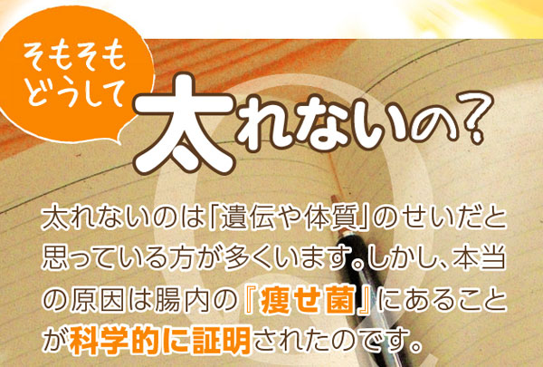 ファティーボの特徴