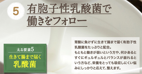 ドクターフトレマックスが太る理由